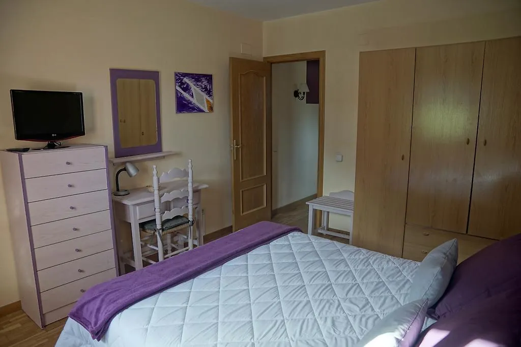 Apartaments El Ribal Valencia D'Aneu 0*,